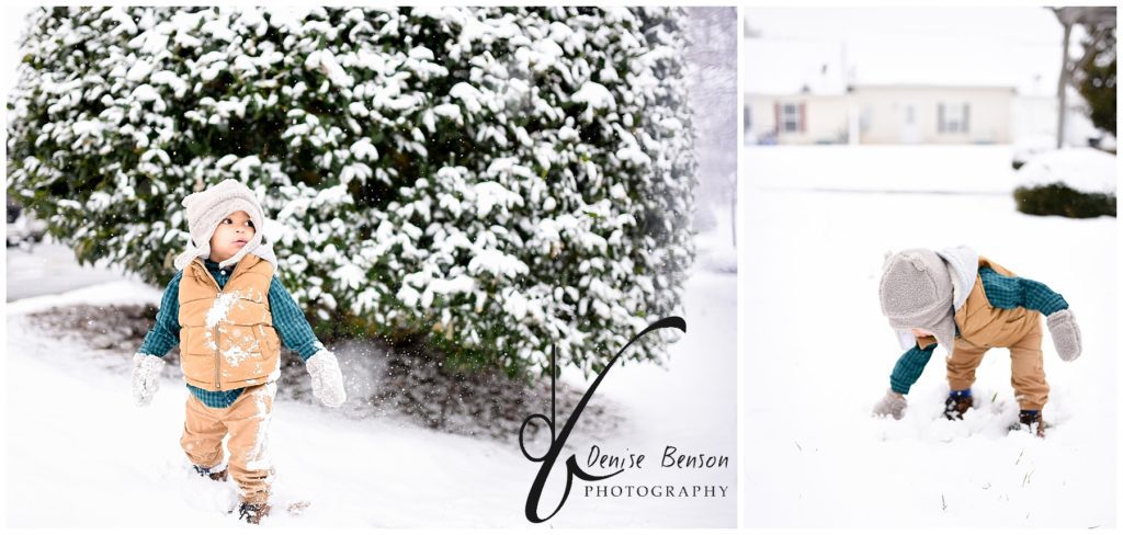 denise benson photography