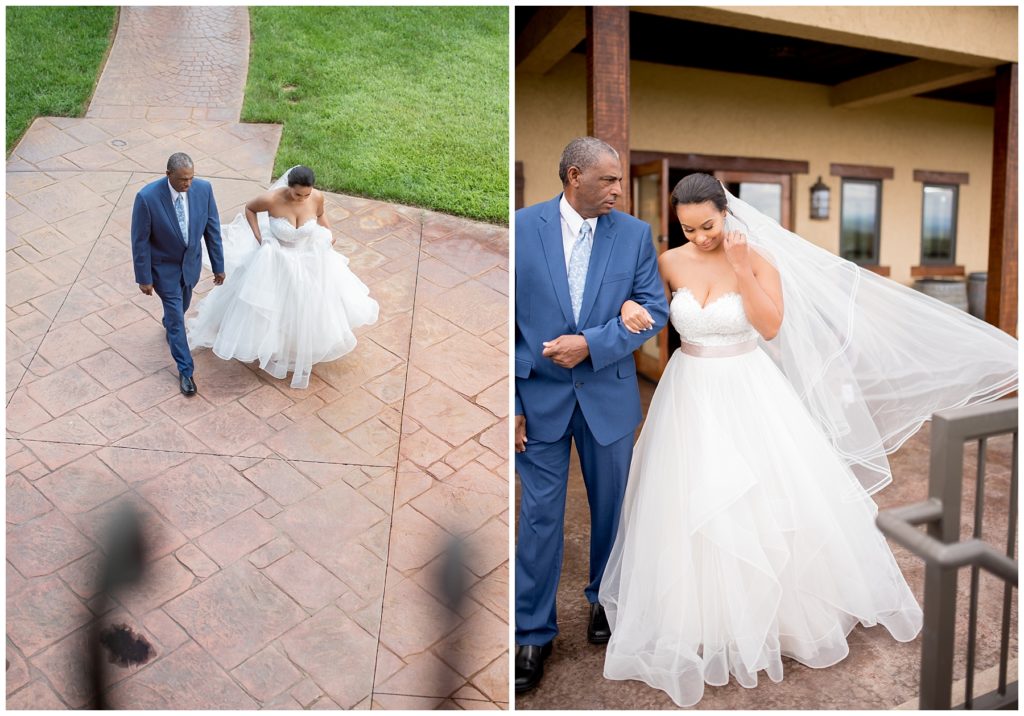 denise benson photography